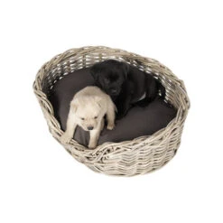 51 Degrees North Rattan Basket -Geschäft Für Hundebedarf 51 degrees north rattan basket 209954 0500 none