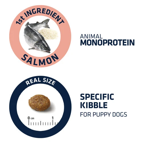 Affinity Advance Puppy Sensitive Lachs & Reis 3 Affinity Advance Puppy Sensitive Lachs & Reis – Bild 3