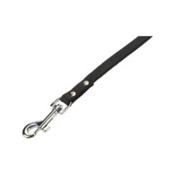 Beeztees Enjoy Hundeleine -Geschäft Für Hundebedarf beeztees geniet hondenriem 200033 0500 none