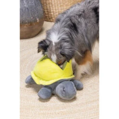 Beeztees Hide And Seek Schildo -Geschäft Für Hundebedarf beeztees hide and seek schildo 221788 0500 none