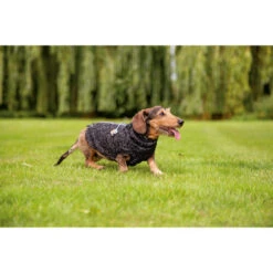 Beeztees Hundepullover Celia -Geschäft Für Hundebedarf beeztees hondentrui celia 219140 0500 none