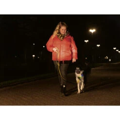 Beeztees Safety Gear Parinca Premium Halsband -Geschäft Für Hundebedarf beeztees safety gear parinca premium halsband 215009 0500 none