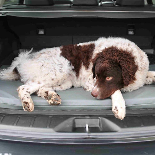 Bia Original Matratze Schwarz 2 Bia Original Matratze Schwarz – Bild 2