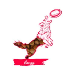 Calibra Dog Expert Nutrition Energy -Geschäft Für Hundebedarf calibra dog expert nutrition energy 163534 0500 none