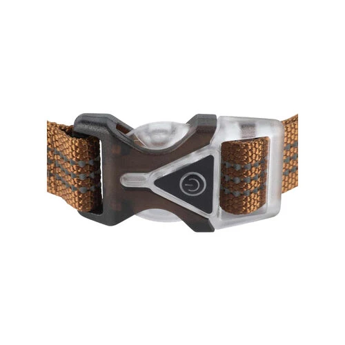 Carhartt Lighted Dog Collar 3 Carhartt Lighted Dog Collar – Bild 3