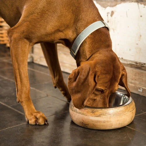 Designed By Lotte Futter- Und Trinknapf Mandira Aus Holz – Bild 5