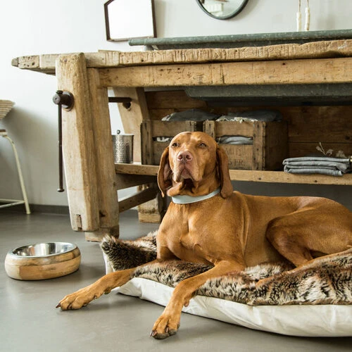 Designed By Lotte Futter- Und Trinknapf Mandira Aus Holz – Bild 6