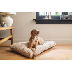 Designed By Lotte Xanti Hundekissen -Geschäft Für Hundebedarf designed by lotte xanti hondenkussen 188124 0500 none