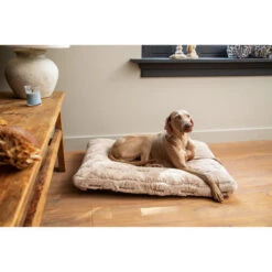 Designed By Lotte Xanti Hundekissen -Geschäft Für Hundebedarf designed by lotte xanti hondenkussen 188127 0500 none