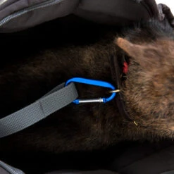 Doctor Bark Hundetragetasche -Geschäft Für Hundebedarf doctor bark honden draagtas 202157 0500 none