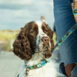 DWAM Halsband Boho Juan 7 DWAM Halsband Boho Juan -Geschäft Für Hundebedarf dwam halsband boho juan 133658 0500 none