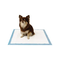 Easypets Trainingpads -Geschäft Für Hundebedarf easypets trainingspads 184186 0500 none