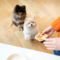 Edgard & Cooper Adult - Huhn & Truthahn - Im Schälchen -Geschäft Für Hundebedarf edgard cooper adult kip kalkoen kuipje 168597 0500 none