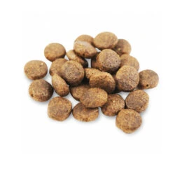 Geschäft Für Hundebedarf -Geschäft Für Hundebedarf fish4dogs finest puppy complete witvis grote brok 160961 0500 none