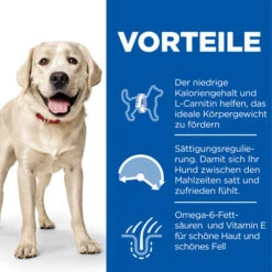 Hill's Science Plan Light - Large Adult Dog -Geschäft Für Hundebedarf hills science plan adult light large 218758 0500 none