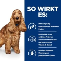 Hill's Z/d Food Sensitivities - Prescription Diet - Canine -Geschäft Für Hundebedarf hills zd food sensitivities prescription diet canine 214322 0500 none