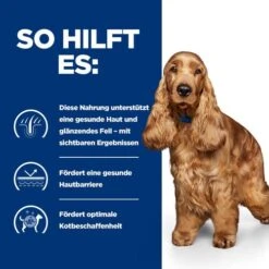 Hill's Z/d Food Sensitivities - Prescription Diet - Canine -Geschäft Für Hundebedarf hills zd food sensitivities prescription diet canine 214331 0500 none