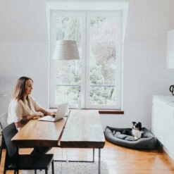 Hunter Eckkorb Livingstone - Grau -Geschäft Für Hundebedarf hunter hoekmand livingstone grijs 175903 0500 none