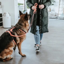 Hunter Sicherheitsgeschirr Maldon 20 Hunter Sicherheitsgeschirr Maldon -Geschäft Für Hundebedarf hunter veiligheidsharnas maldon 221557 0500 none