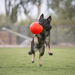 Jolly Soccer Ball -Geschäft Für Hundebedarf jolly soccer ball 162241 0500 none