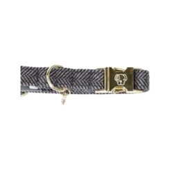 Kentucky Dogwear Hundehalsband Wool 24 Kentucky Dogwear Hundehalsband Wool -Geschäft Für Hundebedarf kentucky dogwear hondenhalsband wool 219713 0500 none