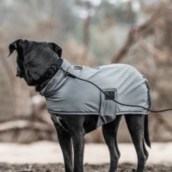 Kentucky Dogwear Soft Rubber Hundehalsband 9 Kentucky Dogwear Soft Rubber Hundehalsband -Geschäft Für Hundebedarf kentucky dogwear soft rubber hondenhalsband 219265 0500 none