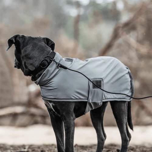 Kentucky Dogwear Soft Rubber Hundehalsband 4 Kentucky Dogwear Soft Rubber Hundehalsband – Bild 4