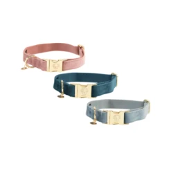 Kentucky Dogwear Velvet Hundehalsband