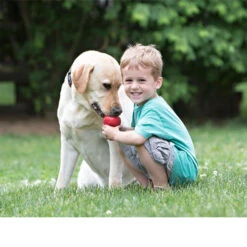 KONG Classic -Geschäft Für Hundebedarf kong classic 98642 0500 none