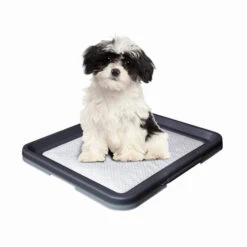 Nobby Doggy Trainer & Pads -Geschäft Für Hundebedarf nobby doggy trainer 130277 0500 none