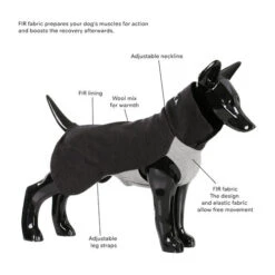 PAIKKA Recovery Winter Shirt -Geschäft Für Hundebedarf paikka recovery winter shirt 217787 0500 none