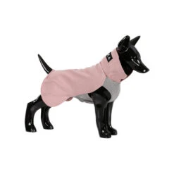 PAIKKA Recovery Winter Shirt -Geschäft Für Hundebedarf paikka recovery winter shirt 217792 0500 none