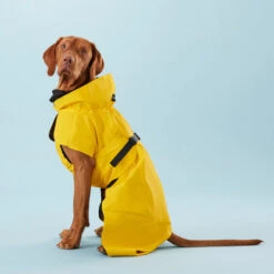 PAIKKA Visibility Raincoat Lite Yellow -Geschäft Für Hundebedarf paikka visibility raincoat lite yellow 217726 0500 none