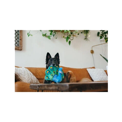 P.L.A.Y. Fetching Flock - Peacock 2 P.L.A.Y. Fetching Flock - Peacock – Bild 2