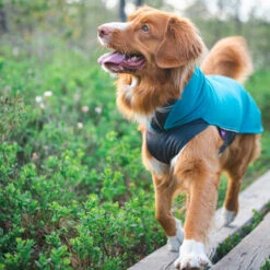 Pomppa Jumppa -Geschäft Für Hundebedarf pomppa jumppa 190573 0500 none