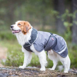 Pomppa Perus Hundejacke 9 Pomppa Perus Hundejacke -Geschäft Für Hundebedarf pomppa perus hondenjas 215732 0500 none