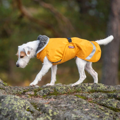 Pomppa Perus Hundejacke 6 Pomppa Perus Hundejacke – Bild 6