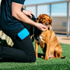 Popware Pooch Pouch Treatbag 7 Popware Pooch Pouch Treatbag -Geschäft Für Hundebedarf popware pooch pouch treatbag 164698 0500 none