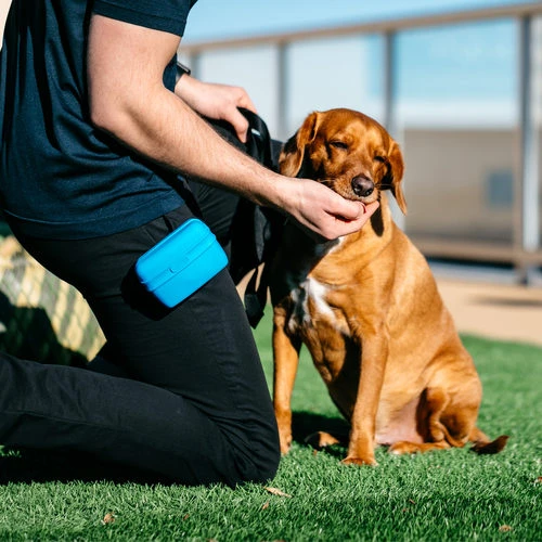 Popware Pooch Pouch Treatbag 4 Popware Pooch Pouch Treatbag – Bild 4