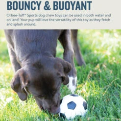 Planet Dog Orbee-Tuff Soccer Ball 11 Planet Dog Orbee-Tuff Soccer Ball -Geschäft Für Hundebedarf prod 14590 203615 0500 none