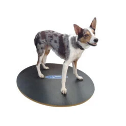 FitPAWS Wobble Board -Geschäft Für Hundebedarf product fitpaws wobble board none 4 1471260307 76246