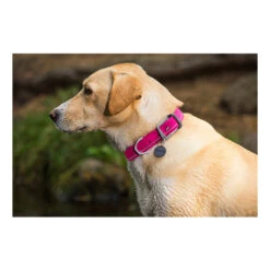 Ruffwear Headwater Collar -Geschäft Für Hundebedarf product ruffwear headwater collar none 4 1487775433 83755