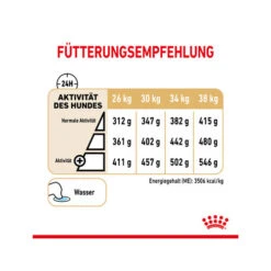 Royal Canin Labrador Retriever Adult 5+ -Geschäft Für Hundebedarf royal canin labrador retriever adult 5 165172 0500 none