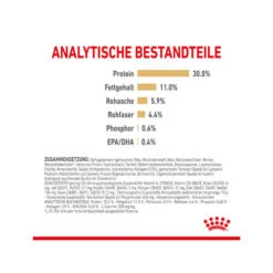 Royal Canin Labrador Retriever Adult 5+ -Geschäft Für Hundebedarf royal canin labrador retriever adult 5 165175 0500 none