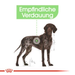 Royal Canin Maxi Digestive Care - Hundefutter 11 Royal Canin Maxi Digestive Care - Hundefutter -Geschäft Für Hundebedarf royal canin maxi digestive care hondenvoer 132482 0500 none