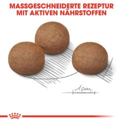 Royal Canin Maxi Digestive Care - Hundefutter 12 Royal Canin Maxi Digestive Care - Hundefutter -Geschäft Für Hundebedarf royal canin maxi digestive care hondenvoer 132494 0500 none