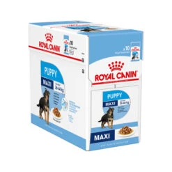 Royal Canin Maxi Puppy Wet - Welpenfutter -Geschäft Für Hundebedarf royal canin maxi puppy wet 122105 0500 none