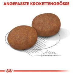 Royal Canin Medium Adult 7+ - Hundefutter 14 Royal Canin Medium Adult 7+ - Hundefutter -Geschäft Für Hundebedarf royal canin medium adult 7 hondenvoer 128495 0500 none