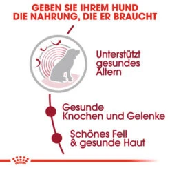 Royal Canin Medium Ageing 10+ - Hundefutter -Geschäft Für Hundebedarf royal canin medium ageing 10 hondenvoer 128816 0500 none