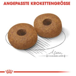 Royal Canin Medium Ageing 10+ - Hundefutter -Geschäft Für Hundebedarf royal canin medium ageing 10 hondenvoer 128822 0500 none